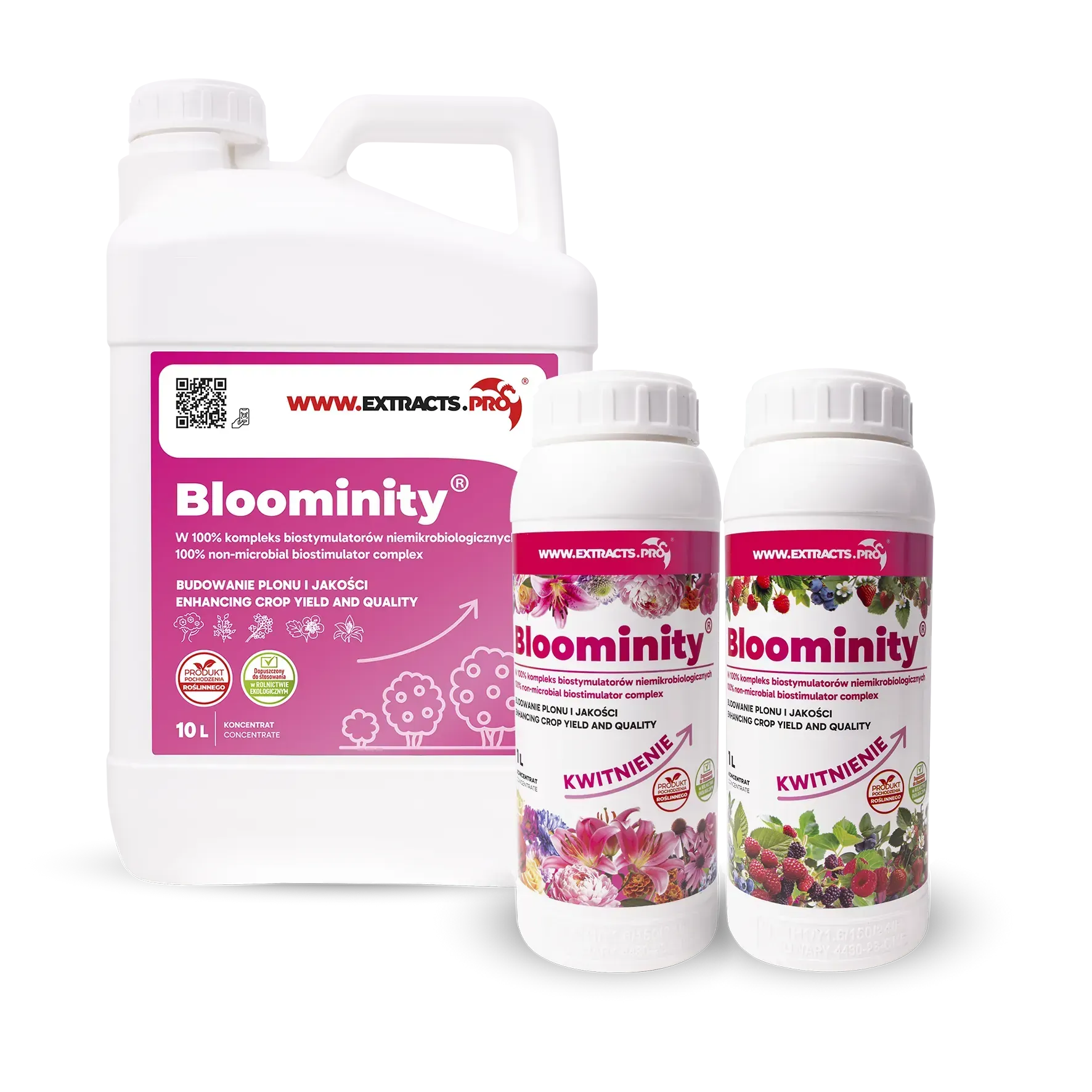 BLOOMINITY
