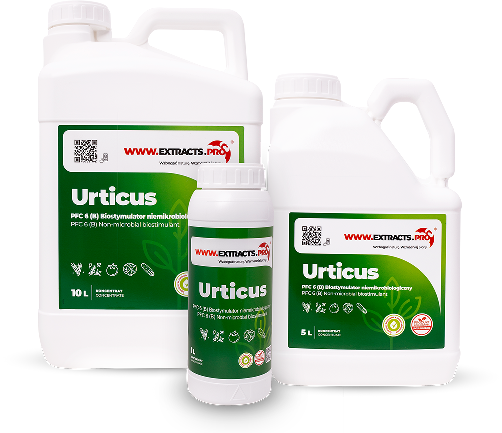 URTICUS